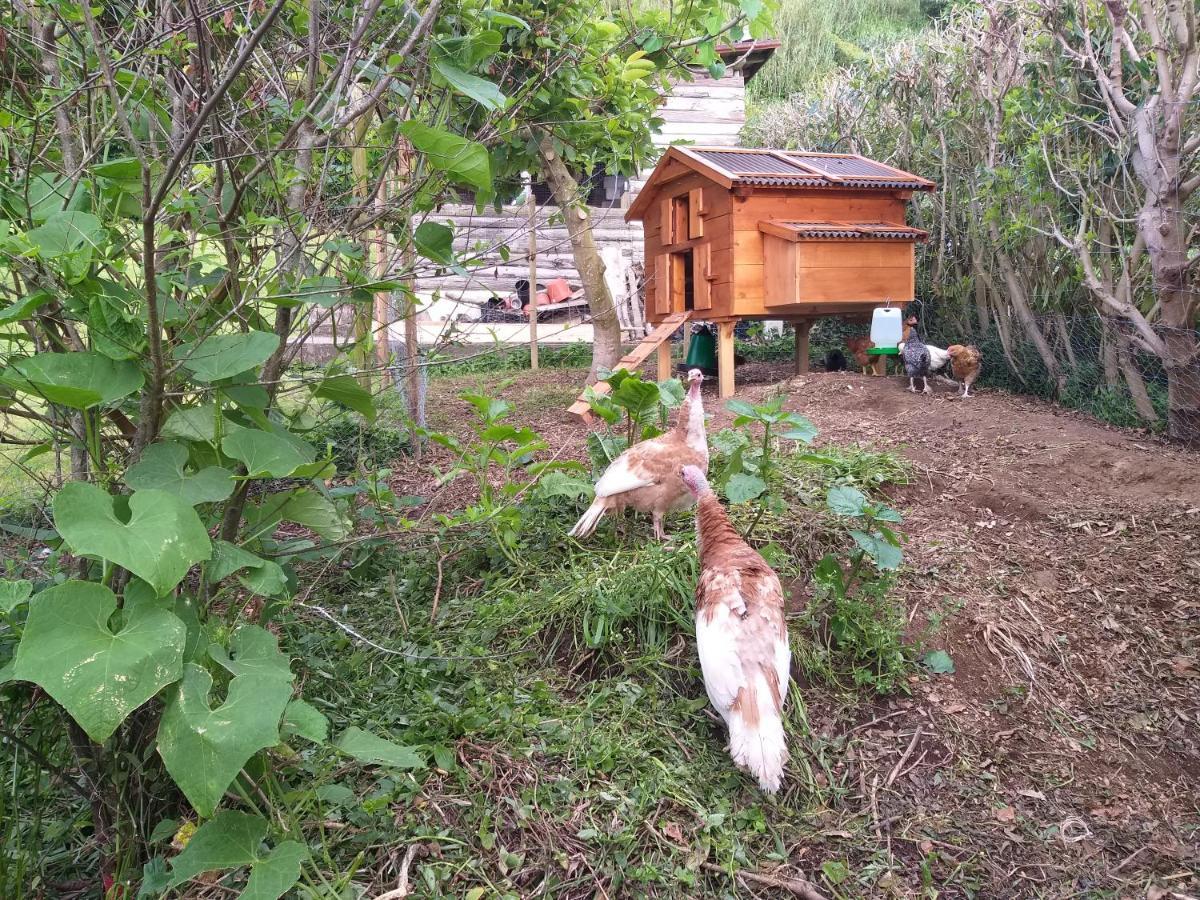 Quinta Da Pavoa - Cottage House Vila Franca do Campo Ngoại thất bức ảnh
