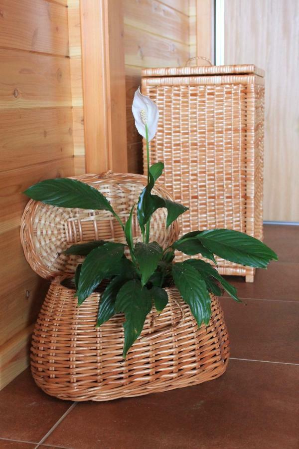 Quinta Da Pavoa - Cottage House Vila Franca do Campo Ngoại thất bức ảnh