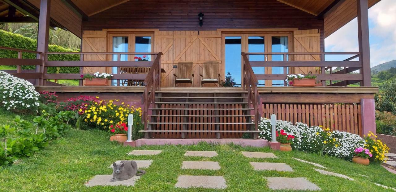 Quinta Da Pavoa - Cottage House Vila Franca do Campo Ngoại thất bức ảnh